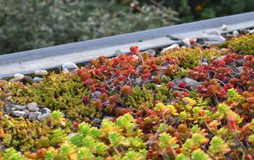 the cost of Kirton Campus green roof installation