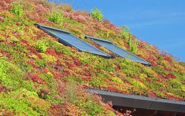 Kirton Campus living roof systems