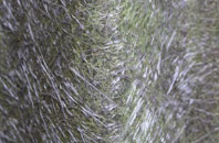 Kirton Campus fibreglass roof work